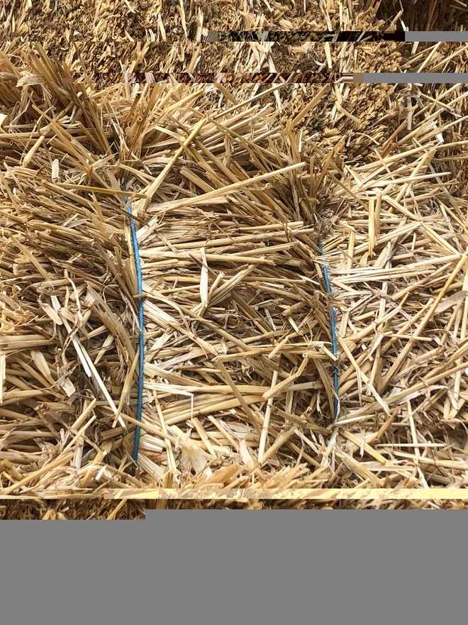 Small bales windrowed Barley Straw for sale Farm Tender